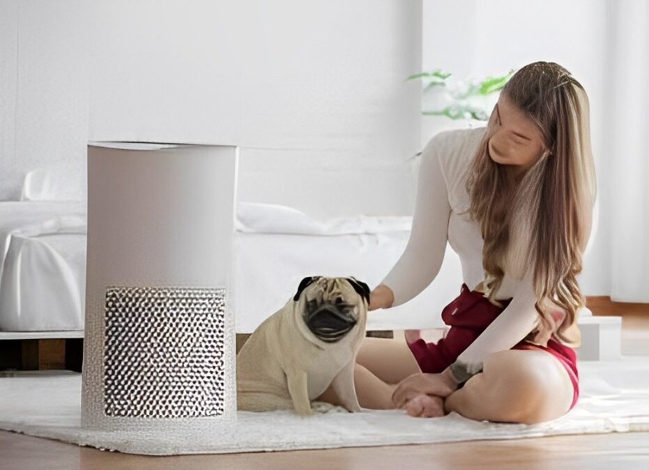 Air Quality Tips for Pet Owners