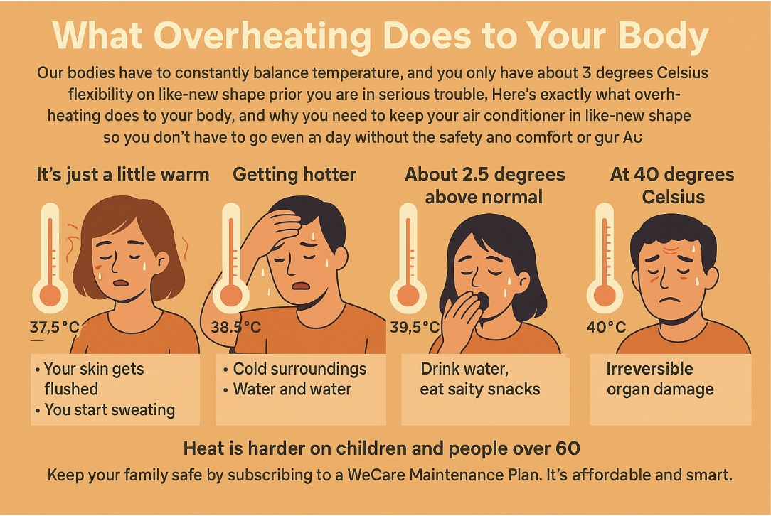 What-Overheating-Does-to-Your-Body What-Overheating-Does-to-Your-Body